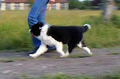 4072195_bb5bd19266e48504a3ace2bb020ca1e9_m.jpg