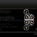 Silver Knights Billiard Cue 5