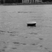 2013.06.05. árvíz a Dunán...