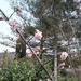 IMG 20241222 144024305