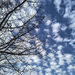 IMG 20250126 131310731 HDR