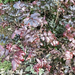IMG 20250126 131740847