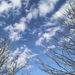 IMG 20250126 132014440