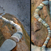 stone snake line by tamas kanya