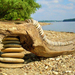 Stones and driftwood in Hungary by Tamas Kanya