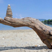 Driftwood hand and stone arch in hungary by tamas kanya