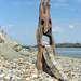 Driftwood and stone art in Hungary by tamas kanya