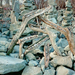 Stone and driftwood composition in Hungary by tamas kanya