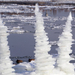 Land art from Hungary by tamas kanya