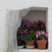 Alberobello-ablak a virágra:)