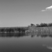 Kakasszéki tó