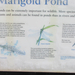 Marigold Pond