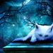 ghost cat by deaddolliecandy-d3b7rza