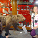 Medvével is találkoztunk, a Természettudományi Múzeumban