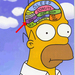 Homer's brain