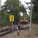 32)DSCF9491