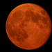 Vörös hold