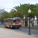 Funchal, Avenida do Mar - helyközi busz