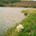 Kistolmács tópart 2003
