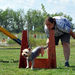 Flyball szemi (227)