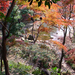 japánkert