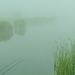 Szíki tó, reggeli köd