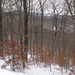 1501010093 A hegy gerince jól kirajzolódik a téli erdőben