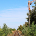 ZS20 053 Bajmok
