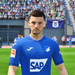 Hoffenheim Grillitsch