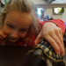 Hanna kedvence, a kígyó mellett
