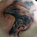 Domantas-Parvainis-Realistic-Eagle-Back-Tattoo
