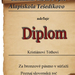 Diplom Poznaj2-page-001