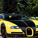 Bugatti Veyron Oakley Design