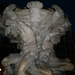Vízcseppek (Fontana dei Tritoni, Trieszt)