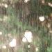 Eső (2)