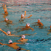 20091117 vasas-kosice dsc12785