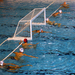 20091117 vasas-kosice dsc12806