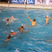 20091117 vasas-kosice dsc12897