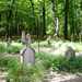 240 Körtvélyesi temető