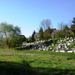 064 Forgách telepi temető