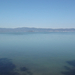 Lago di Trasimeno (137)
