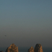capri faragolini rocks birds and moon