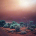 australia 74 sandstorm