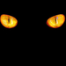 cats-eyes-4789730 960 720