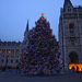 Fenyőfa a Parlament előtt- az ország karácsonyfája