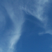 Repülőcsík árnyéka a felhőn