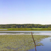 Tisza-tó panoráma 2