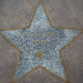 Harrison Ford's Star