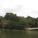 Central Park - Bow Bridge