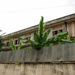 Tuol Sleng